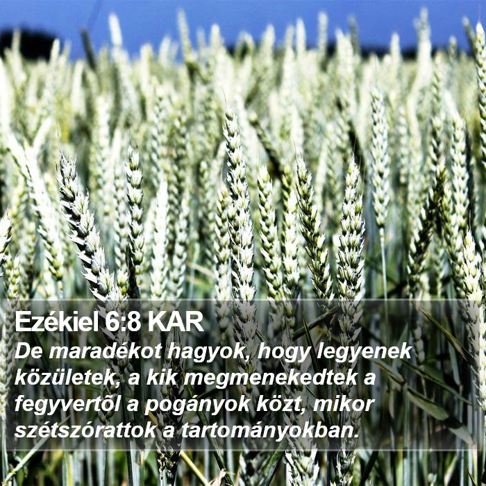 Ezékiel 6:8 KAR Bible Study