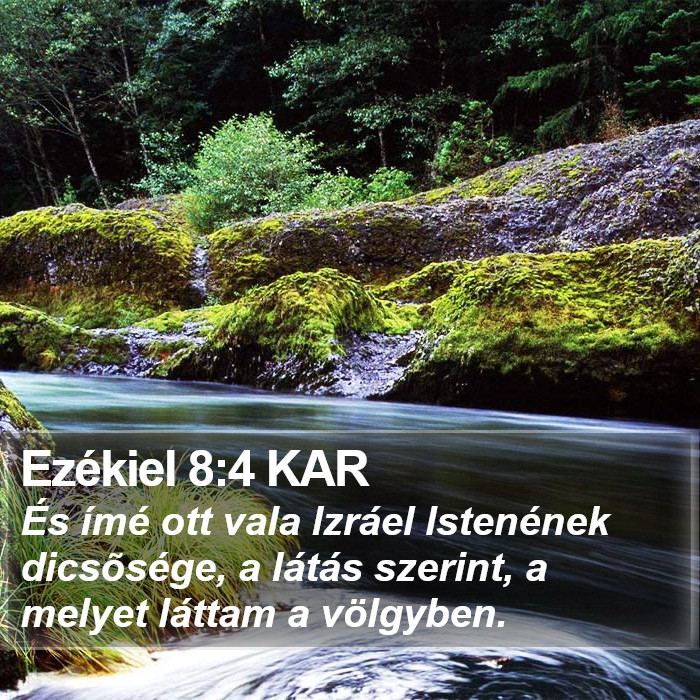 Ezékiel 8:4 KAR Bible Study