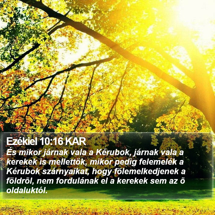 Ezékiel 10:16 KAR Bible Study