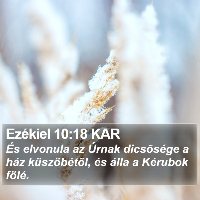 Ezékiel 10:18 KAR Bible Study