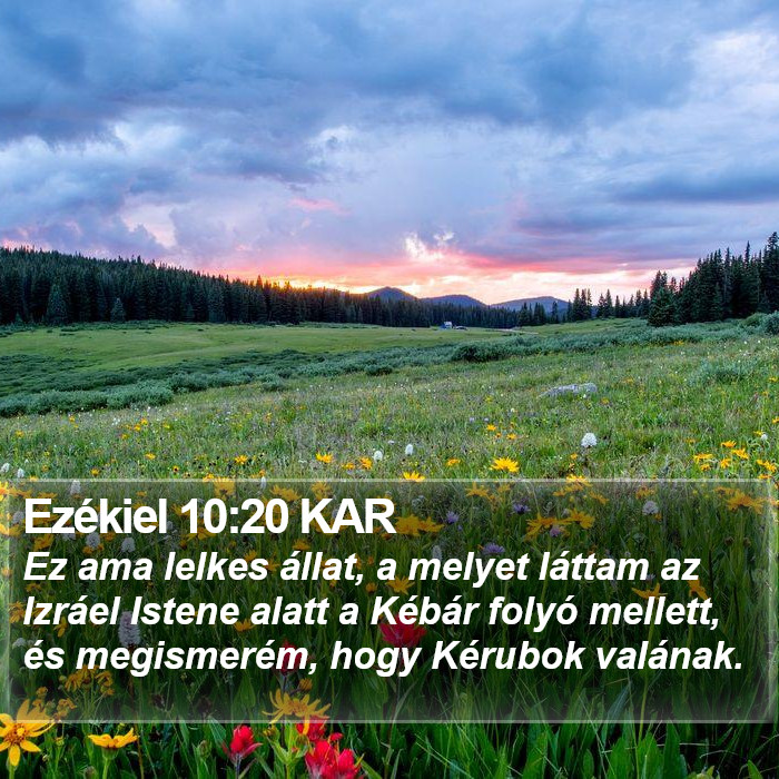 Ezékiel 10:20 KAR Bible Study