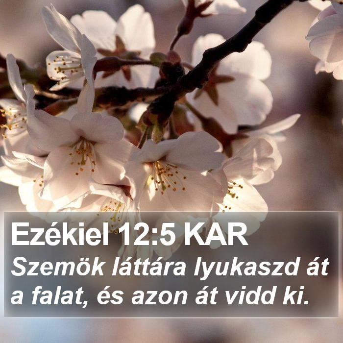 Ezékiel 12:5 KAR Bible Study