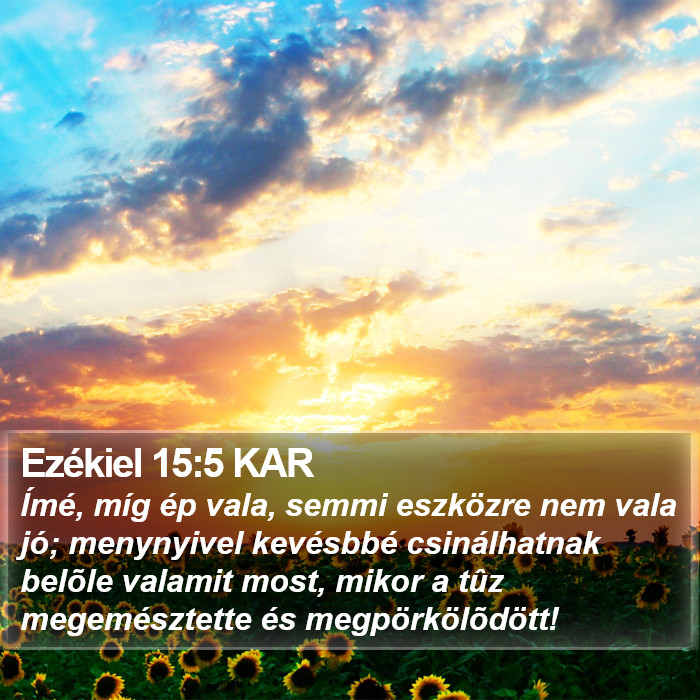 Ezékiel 15:5 KAR Bible Study