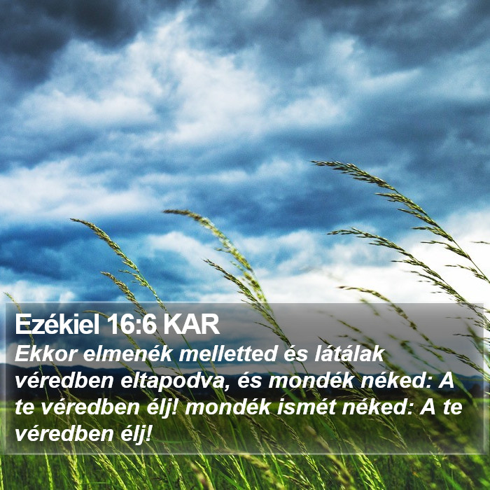 Ezékiel 16:6 KAR Bible Study