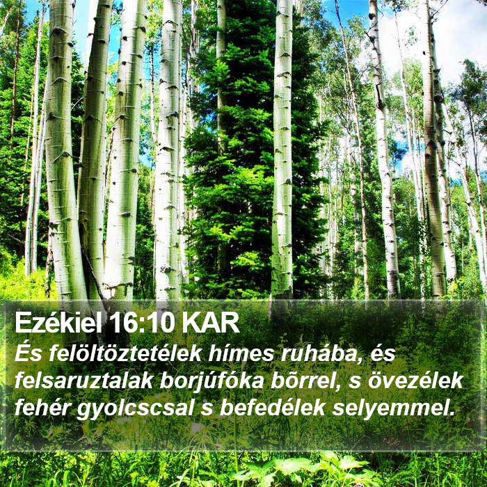 Ezékiel 16:10 KAR Bible Study