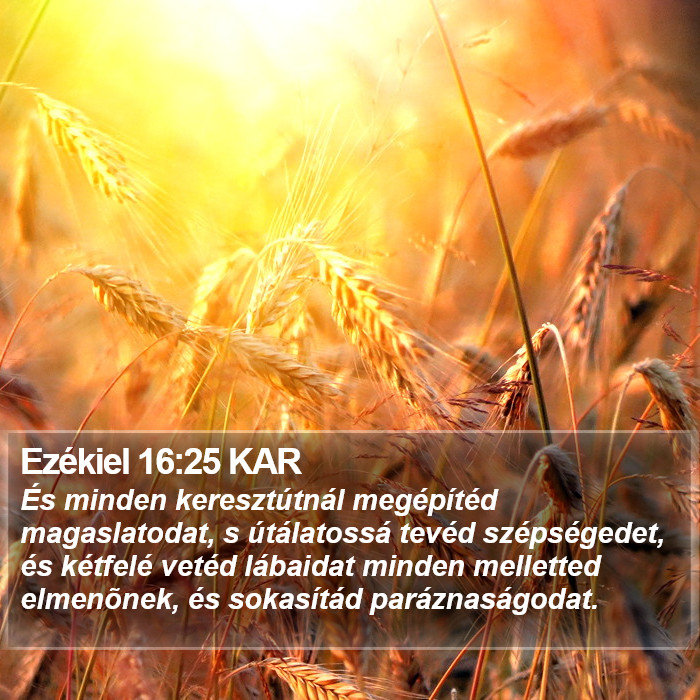 Ezékiel 16:25 KAR Bible Study