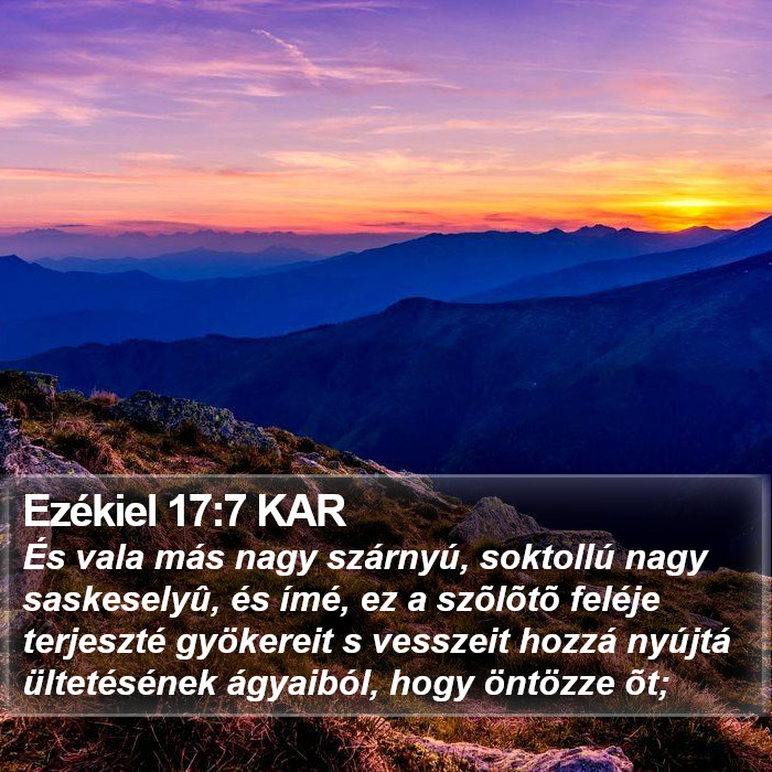 Ezékiel 17:7 KAR Bible Study