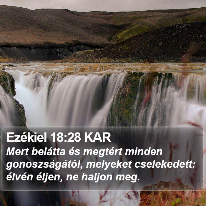 Ezékiel 18:28 KAR Bible Study