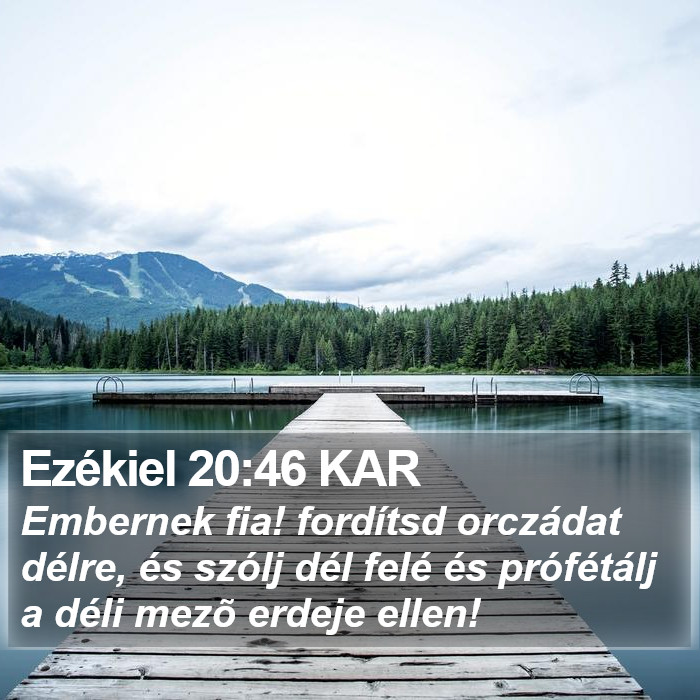 Ezékiel 20:46 KAR Bible Study