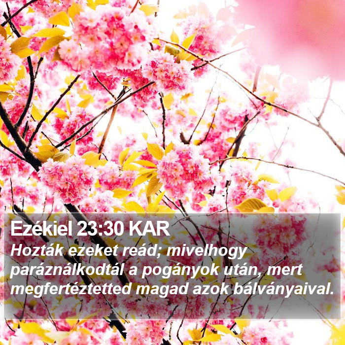 Ezékiel 23:30 KAR Bible Study