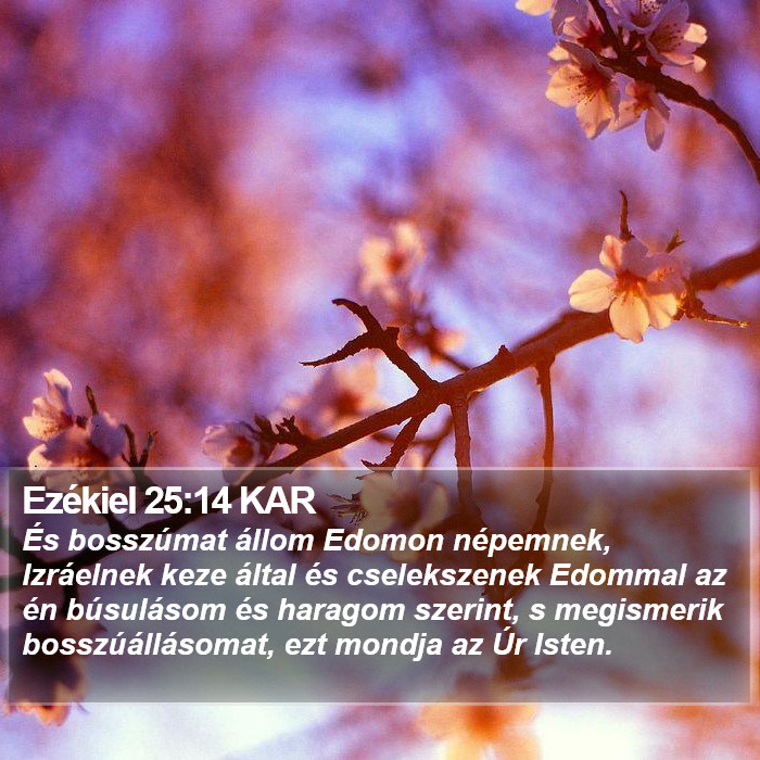 Ezékiel 25:14 KAR Bible Study