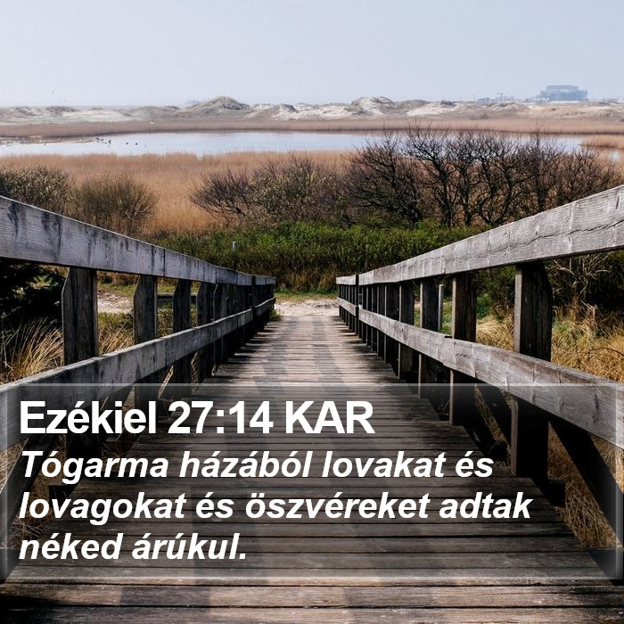 Ezékiel 27:14 KAR Bible Study