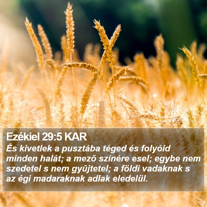 Ezékiel 29:5 KAR Bible Study