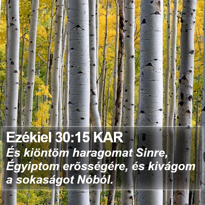 Ezékiel 30:15 KAR Bible Study