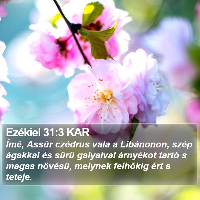 Ezékiel 31:3 KAR Bible Study