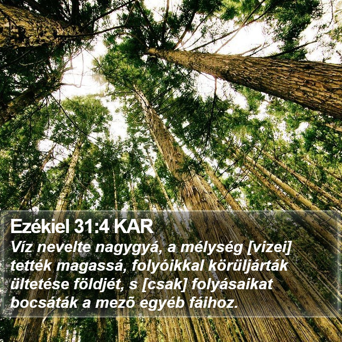 Ezékiel 31:4 KAR Bible Study