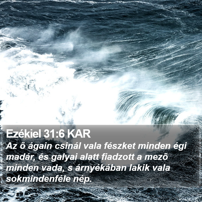 Ezékiel 31:6 KAR Bible Study