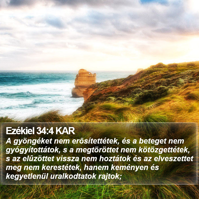 Ezékiel 34:4 KAR Bible Study