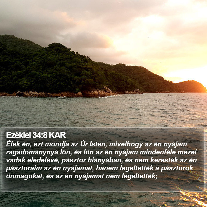 Ezékiel 34:8 KAR Bible Study