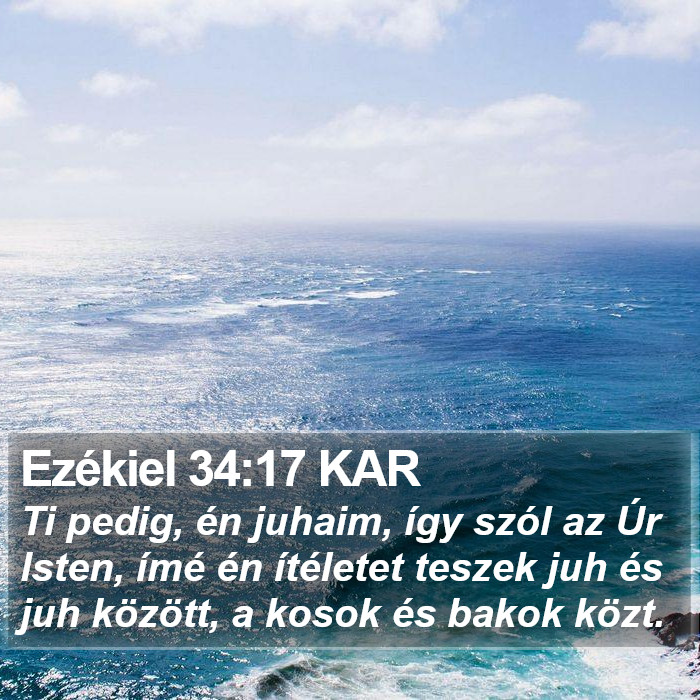 Ezékiel 34:17 KAR Bible Study