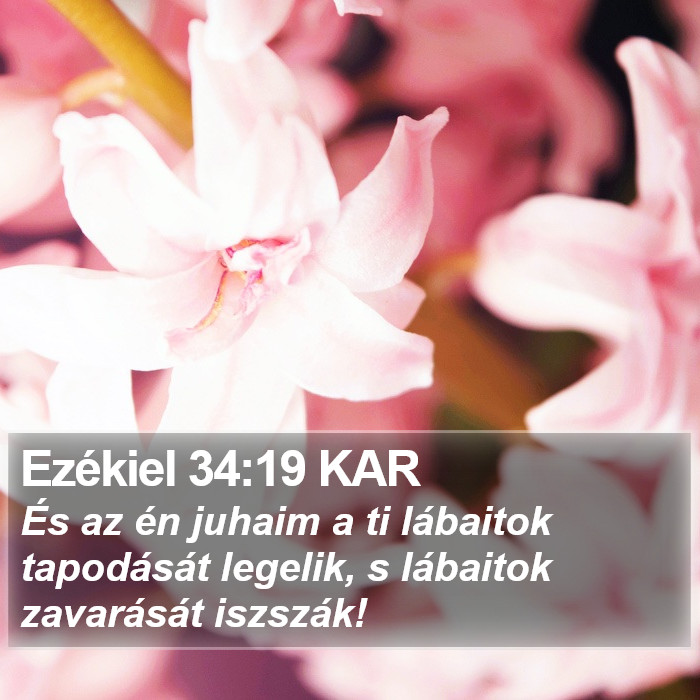 Ezékiel 34:19 KAR Bible Study