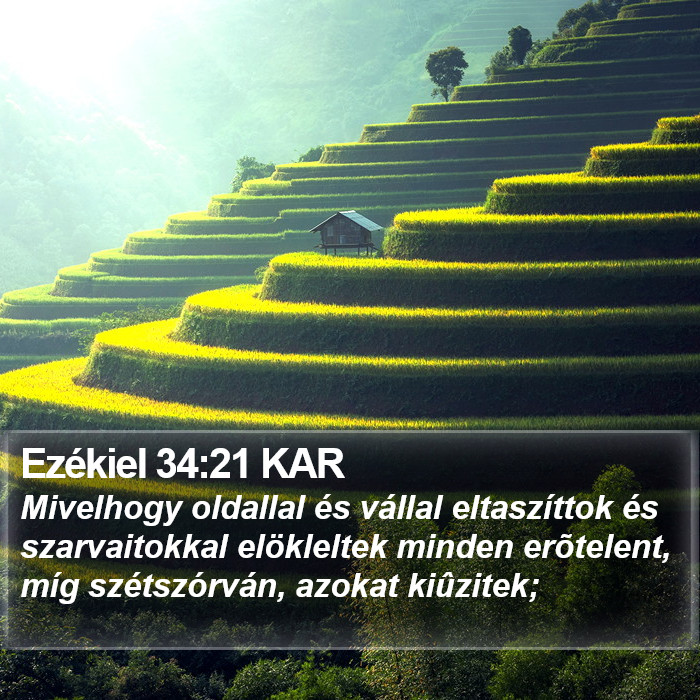 Ezékiel 34:21 KAR Bible Study