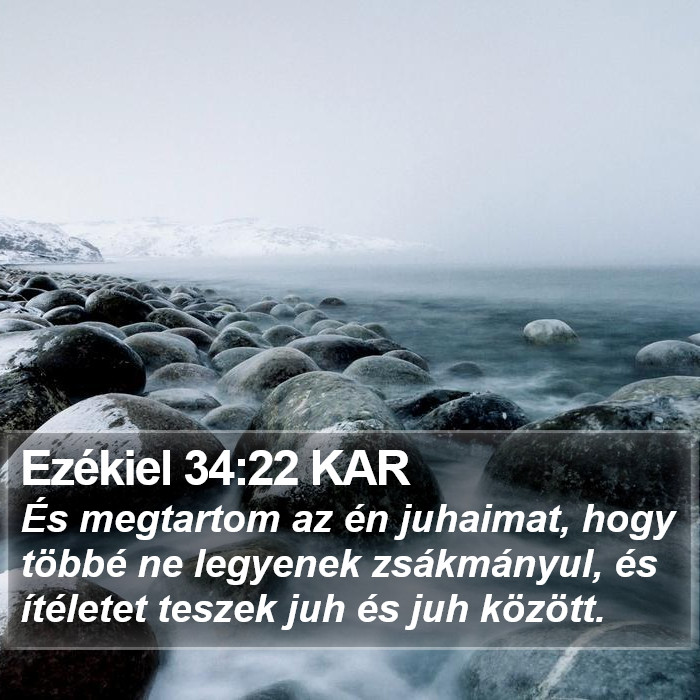 Ezékiel 34:22 KAR Bible Study