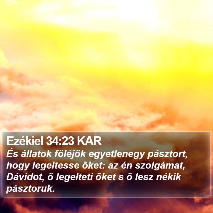 Ezékiel 34:23 KAR Bible Study