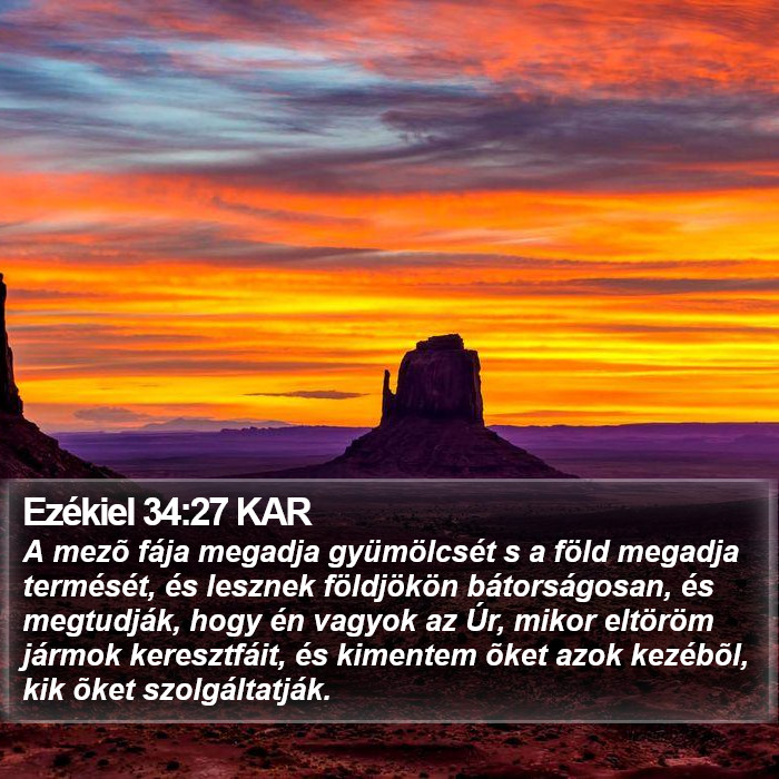 Ezékiel 34:27 KAR Bible Study