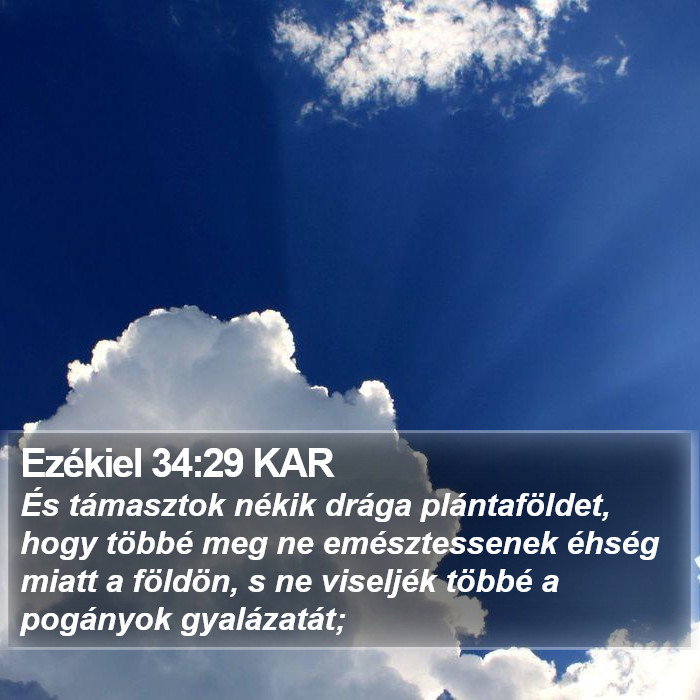 Ezékiel 34:29 KAR Bible Study