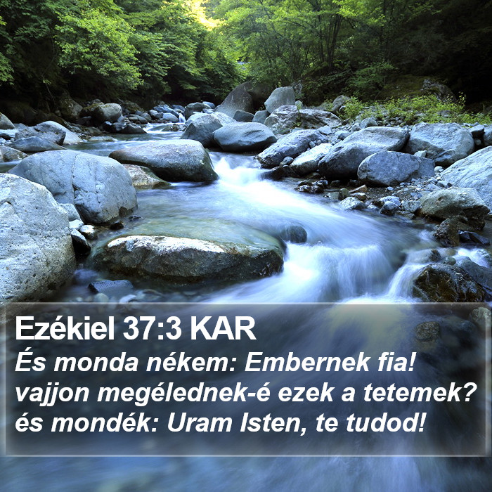 Ezékiel 37:3 KAR Bible Study