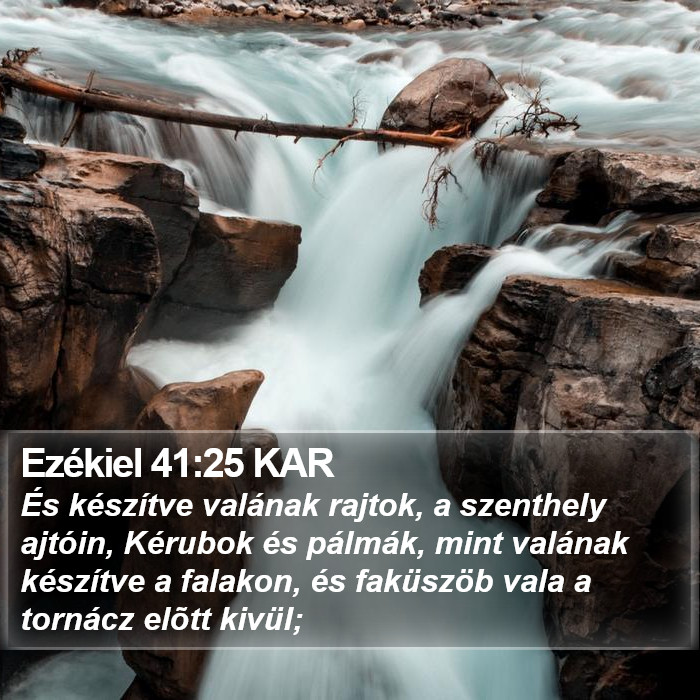 Ezékiel 41:25 KAR Bible Study