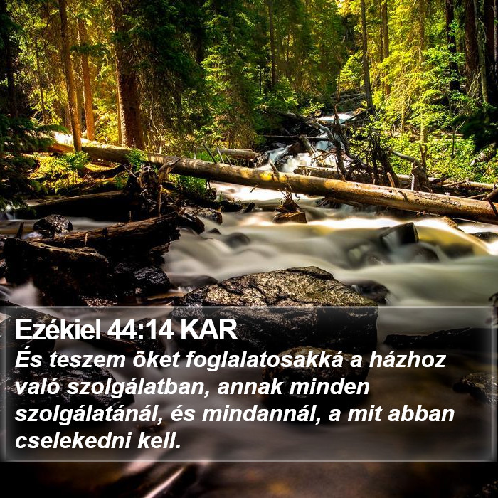 Ezékiel 44:14 KAR Bible Study