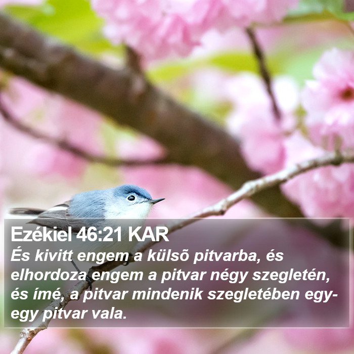 Ezékiel 46:21 KAR Bible Study