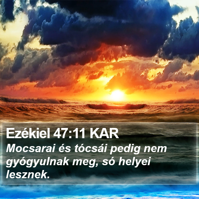 Ezékiel 47:11 KAR Bible Study