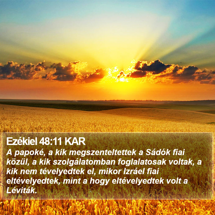 Ezékiel 48:11 KAR Bible Study