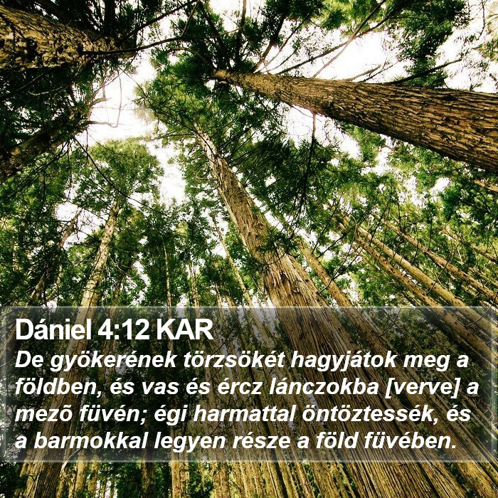 Dániel 4:12 KAR Bible Study