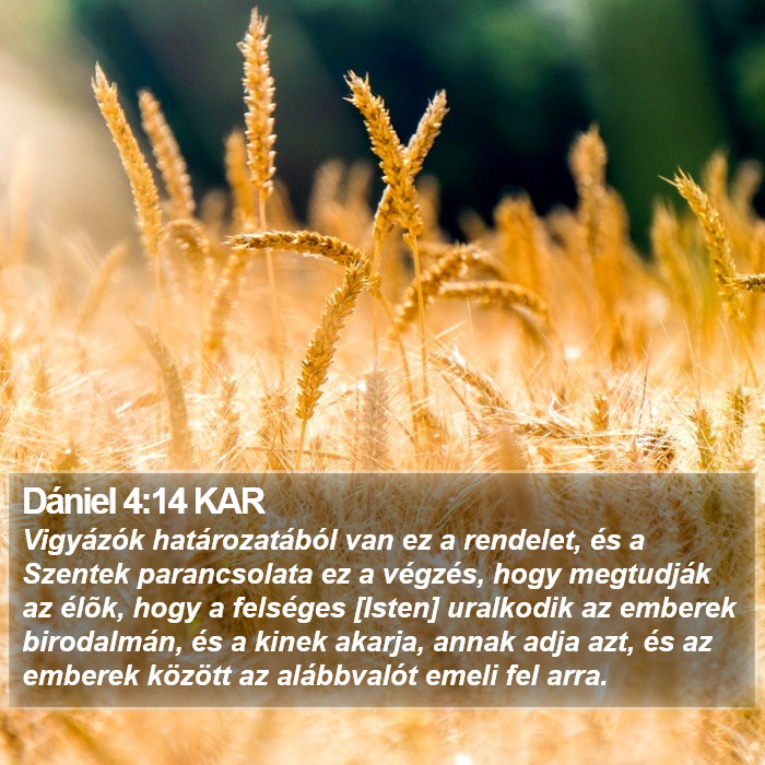 Dániel 4:14 KAR Bible Study