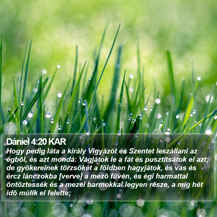 Dániel 4:20 KAR Bible Study