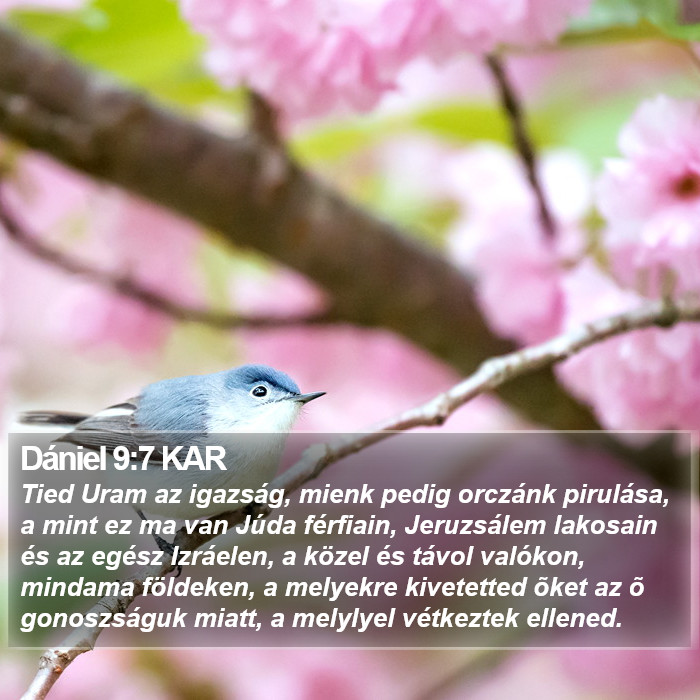 Dániel 9:7 KAR Bible Study