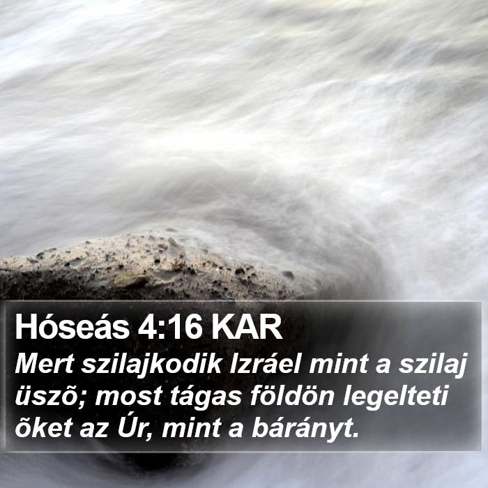 Hóseás 4:16 KAR Bible Study