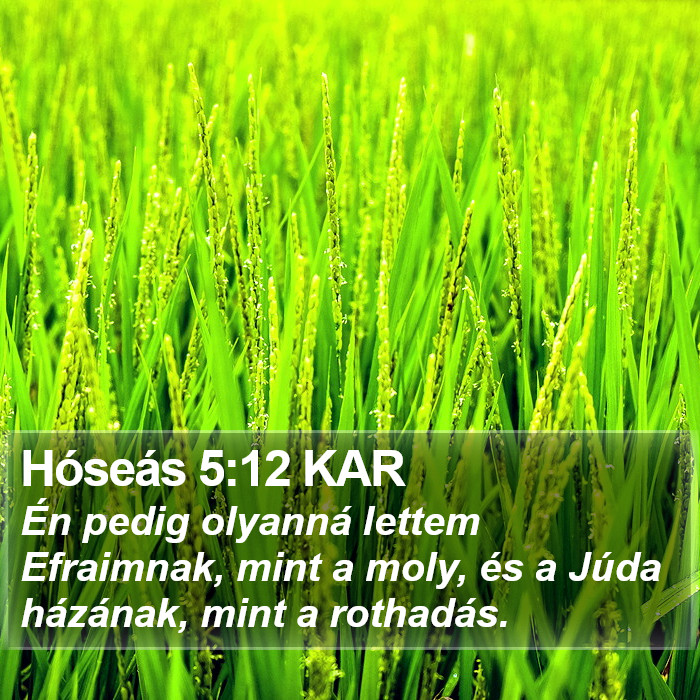 Hóseás 5:12 KAR Bible Study