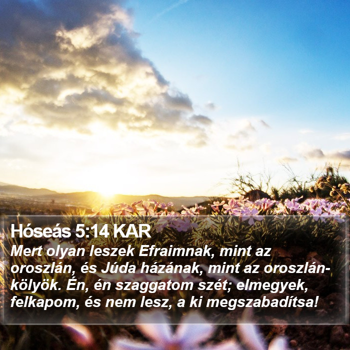 Hóseás 5:14 KAR Bible Study