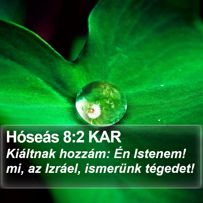 Hóseás 8:2 KAR Bible Study