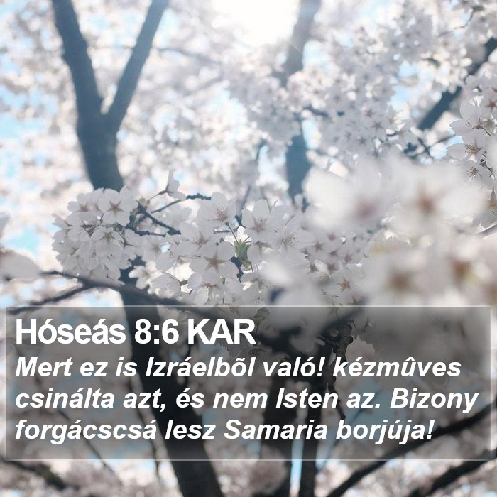 Hóseás 8:6 KAR Bible Study