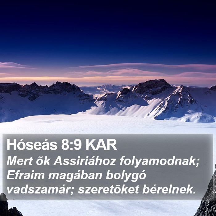Hóseás 8:9 KAR Bible Study