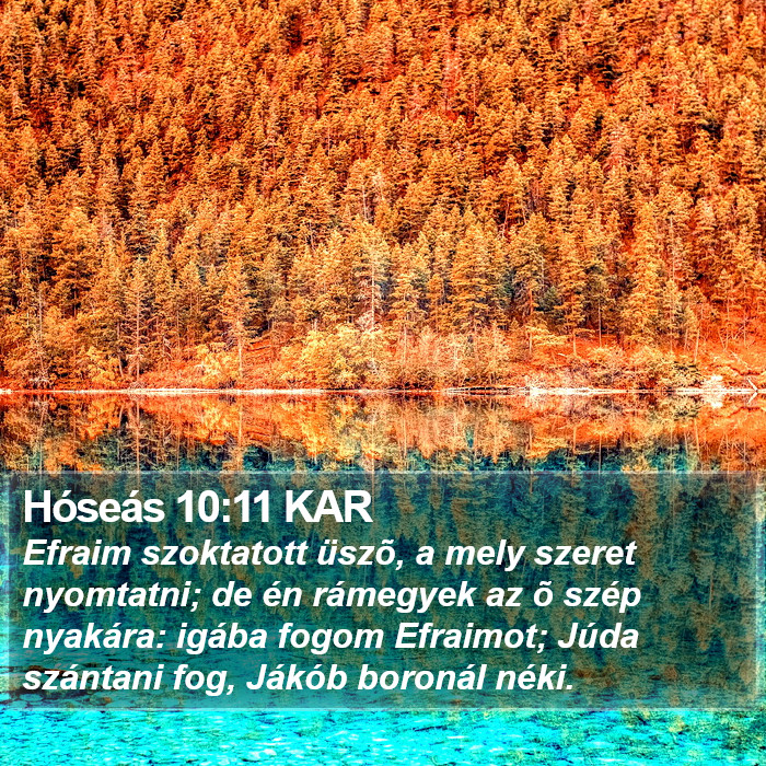 Hóseás 10:11 KAR Bible Study