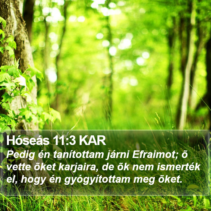 Hóseás 11:3 KAR Bible Study