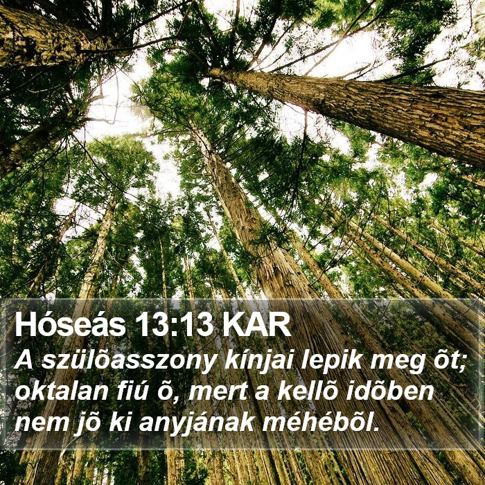 Hóseás 13:13 KAR Bible Study