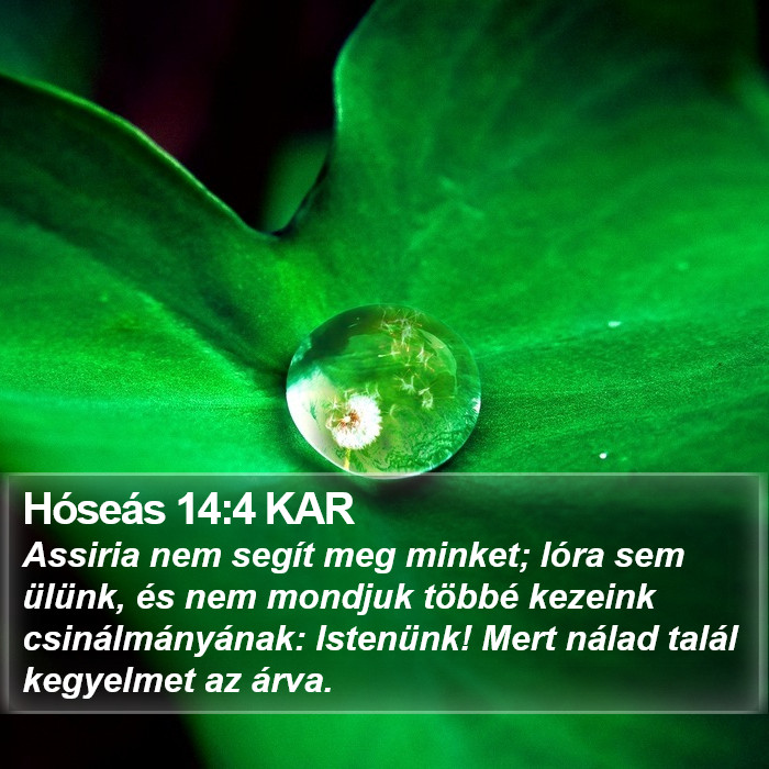 Hóseás 14:4 KAR Bible Study